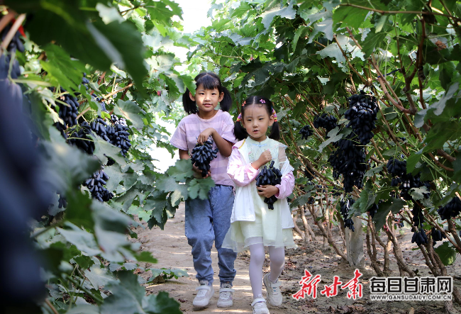 小朋友体验采摘乐趣