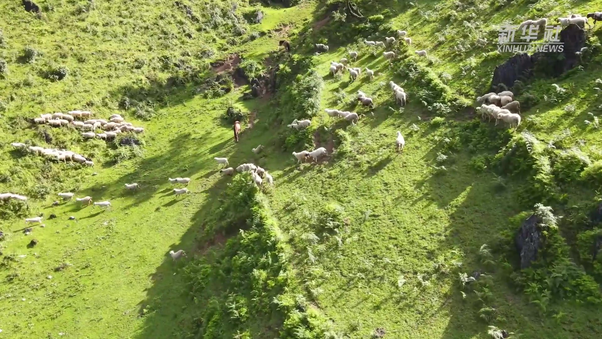 千城胜景｜云南施甸：四大山牧场