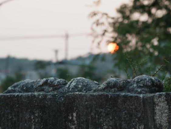▲ 锦屏古桥上雕刻的水牛细节图