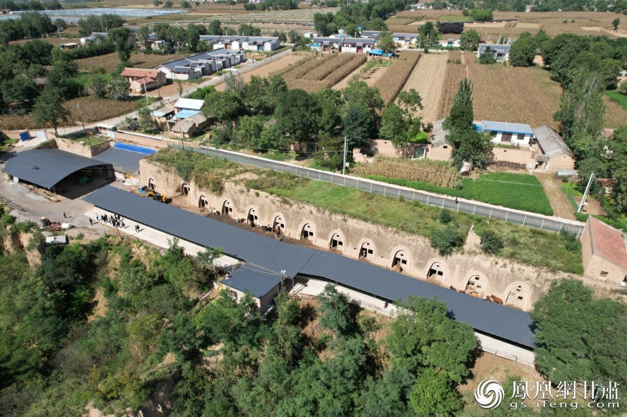 泾川县玉都镇摆旗村勤民养殖农场航拍图 侯赟 摄
