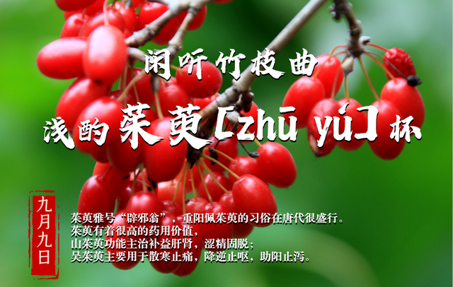 重阳节 为何要“遍插茱萸”?