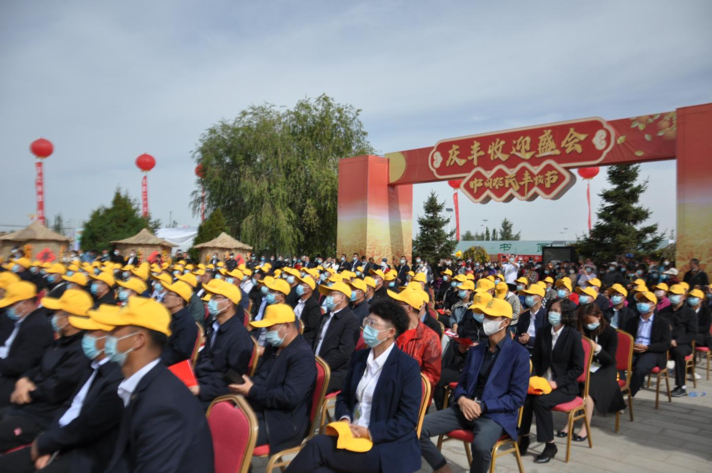 陇原干饭人速速就“胃” 丰收“色号”里你pick哪款