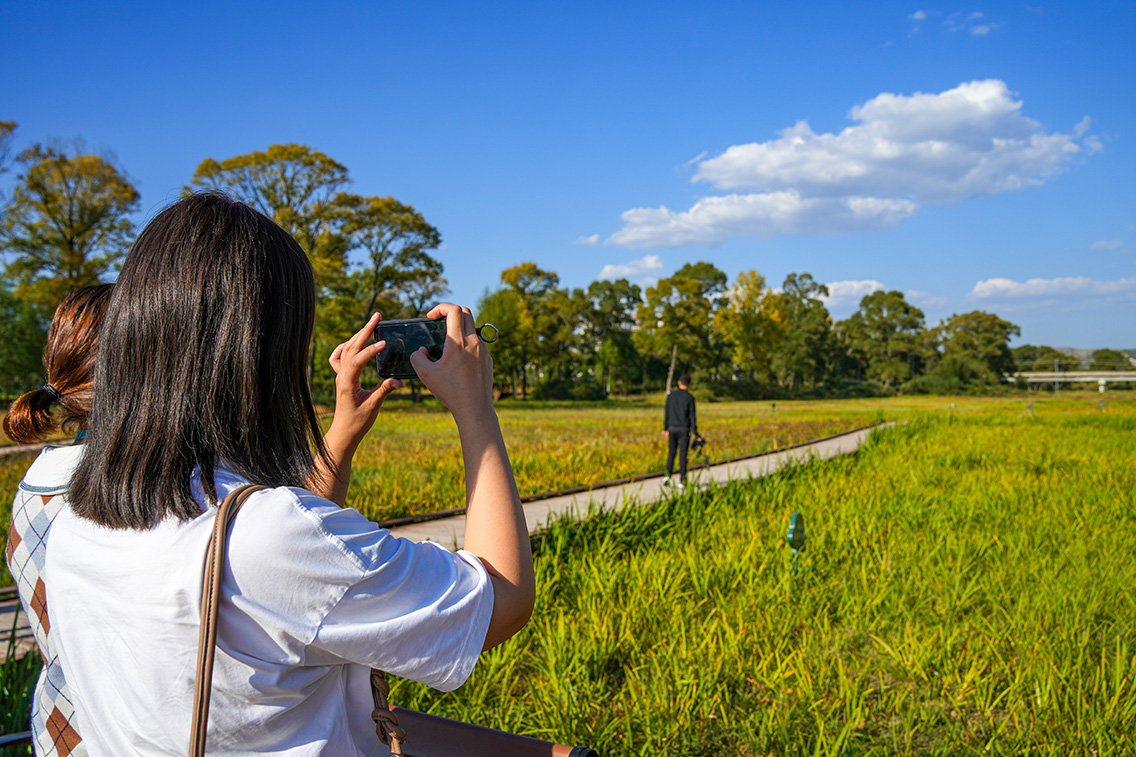 图为在湿地公园内记者们拍照记录美景（马梦迪 摄）