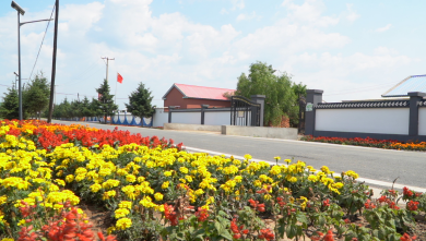 长春新区：示范引领 乡村美景入眼来