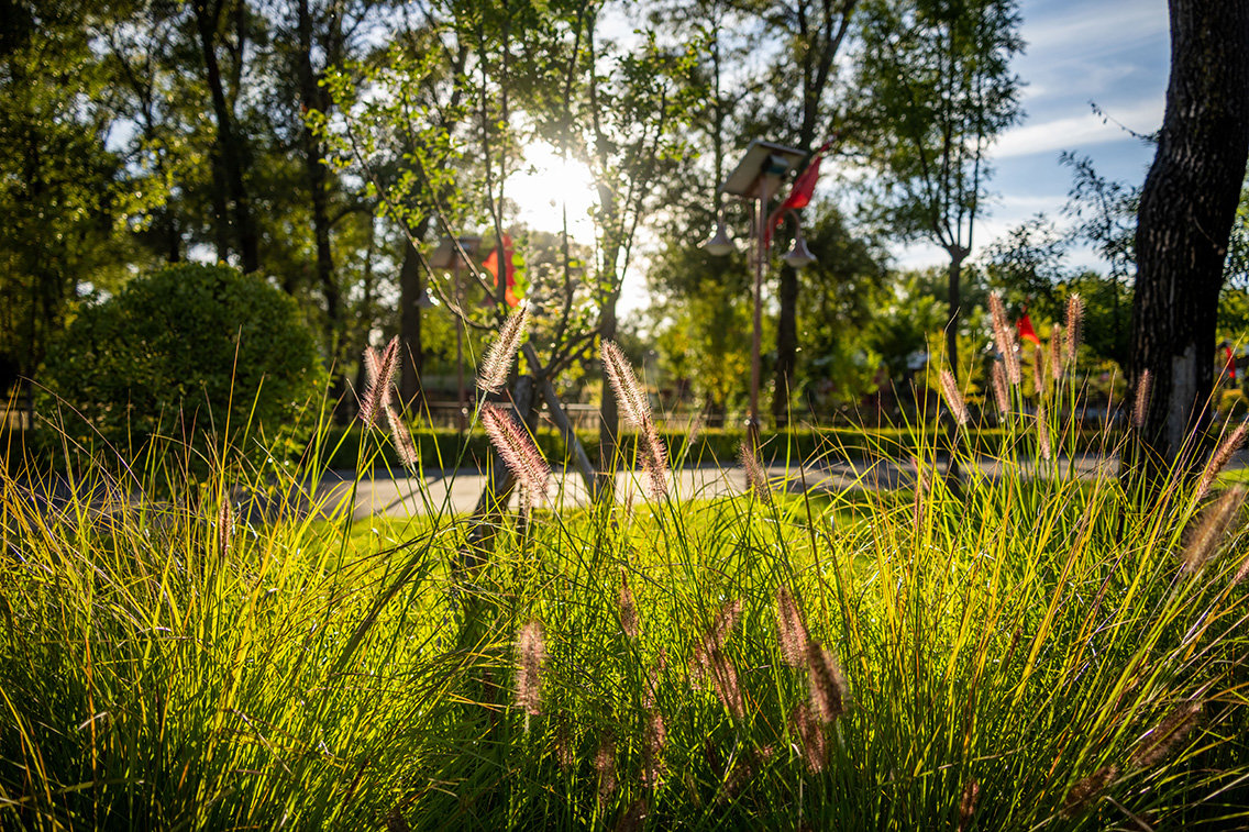 图为山西静乐汾河川国家湿地公园美景（马梦迪 摄）