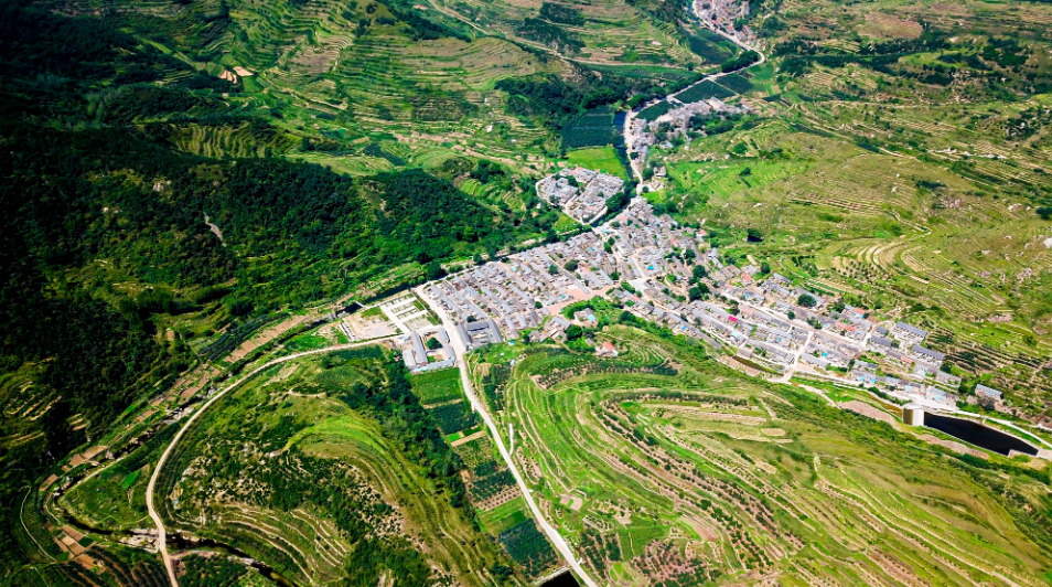 立足产业优势，山东发展壮大镇域经济