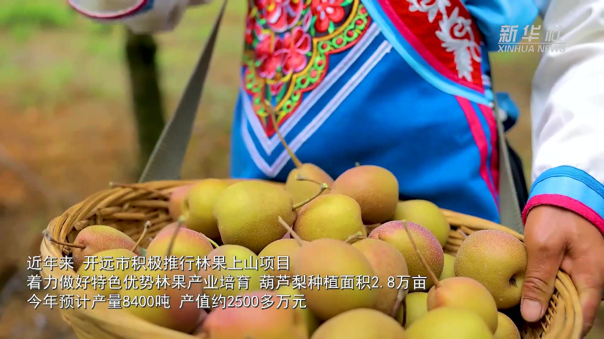 Aoyama Rika 桃源郷の果実-夢のようなセックス体験