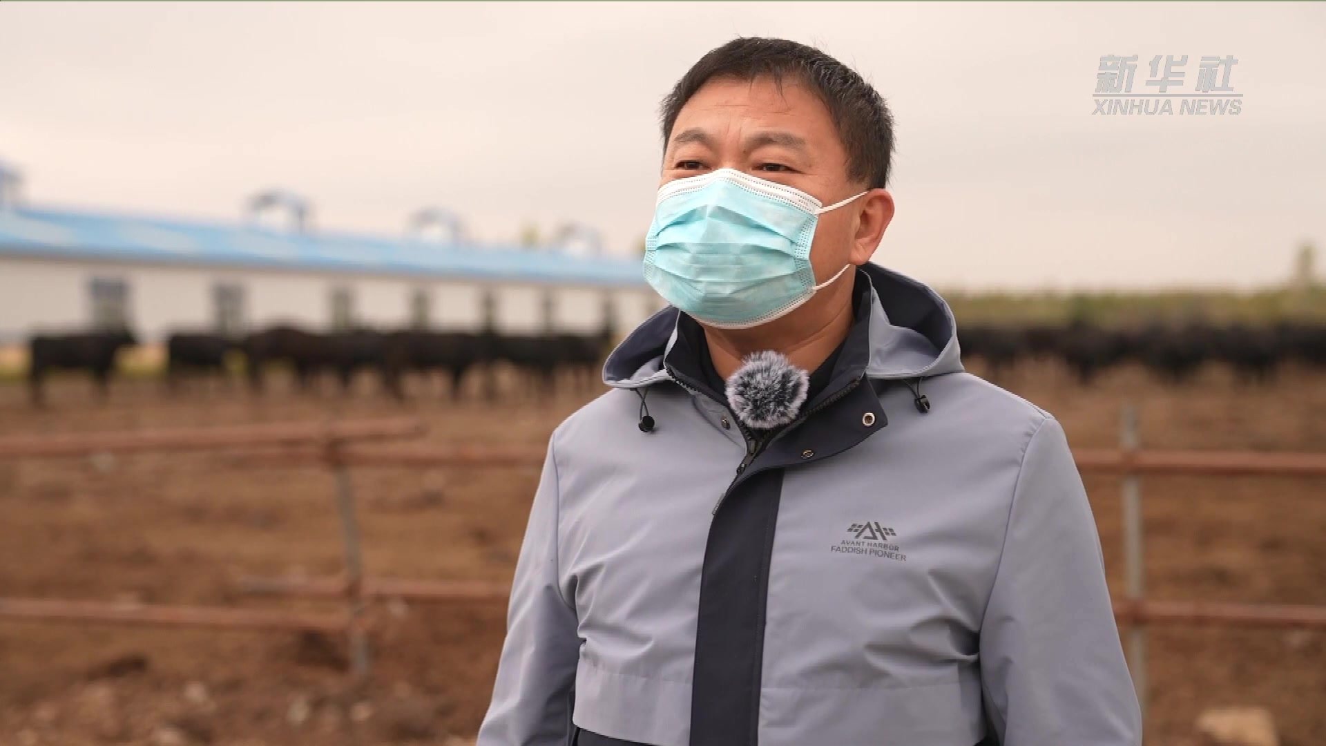 黑龙江孙吴：粪肥还田变废为宝 保护黑土增强地力