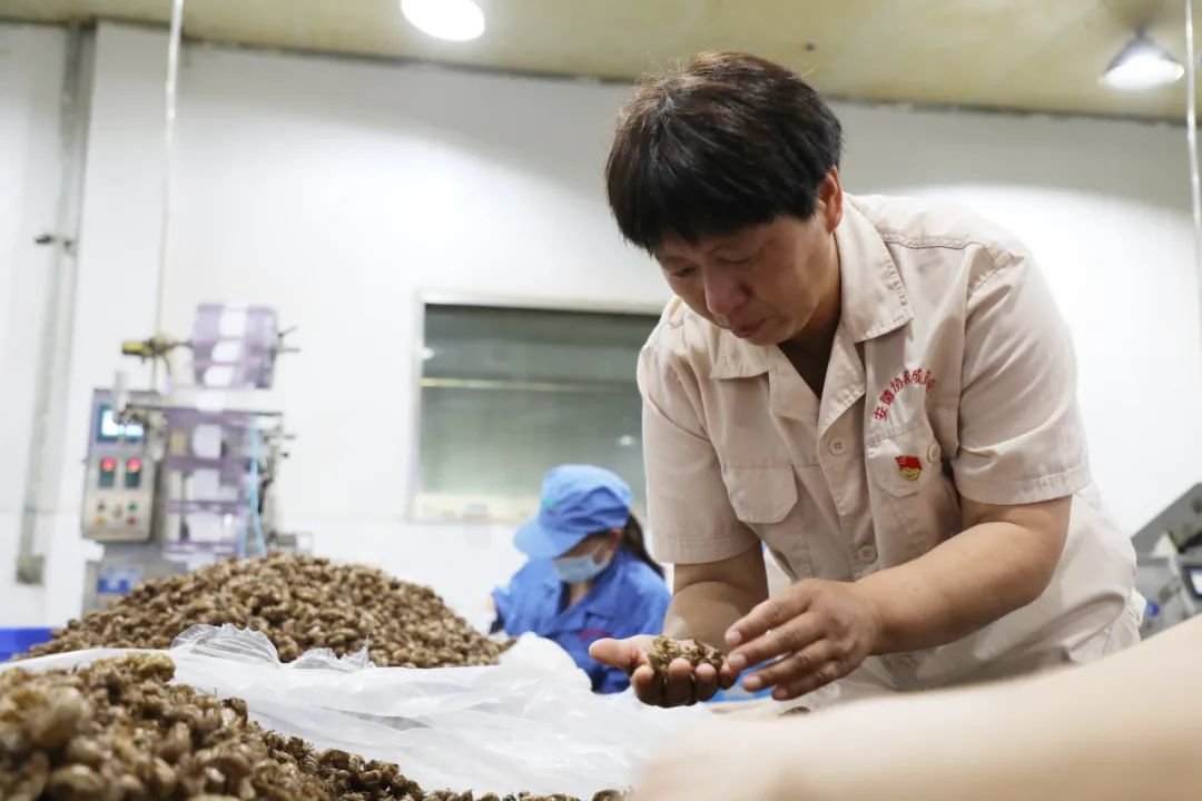 二十大代表风采 谭艳芳:中药味儿里透着"火药味儿"凤凰网安徽_凤凰