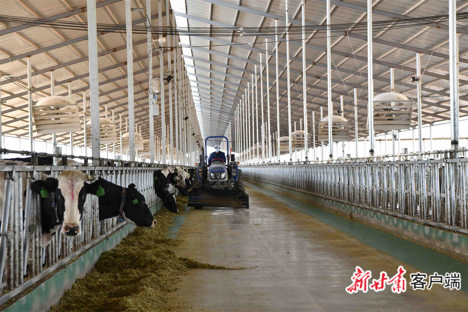 武威“百亿级”产业链起航 加速“犇”向新征程