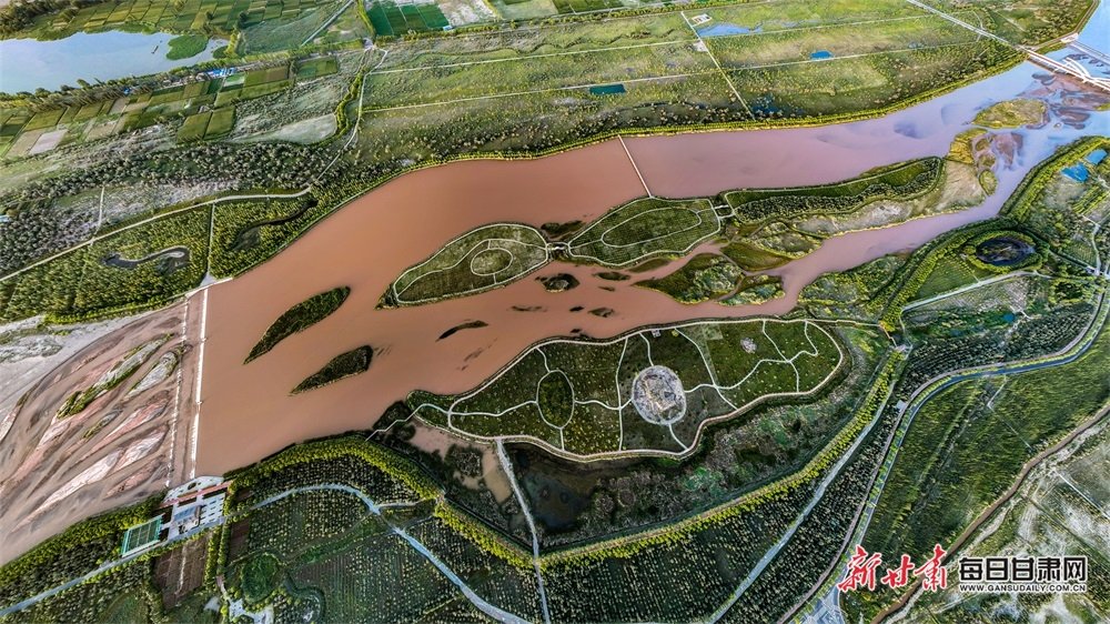 黑河流经高台黑河湿地