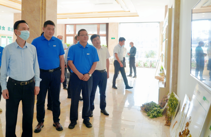 息县人民政府与中化现代农业(河南)有限公司签约仪式举行凤凰网河南