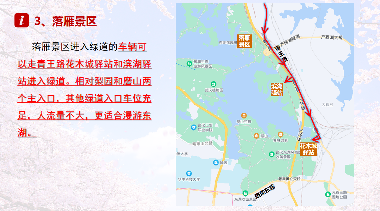国庆节武汉东湖景区实行单双号限行 交警发布出行提示