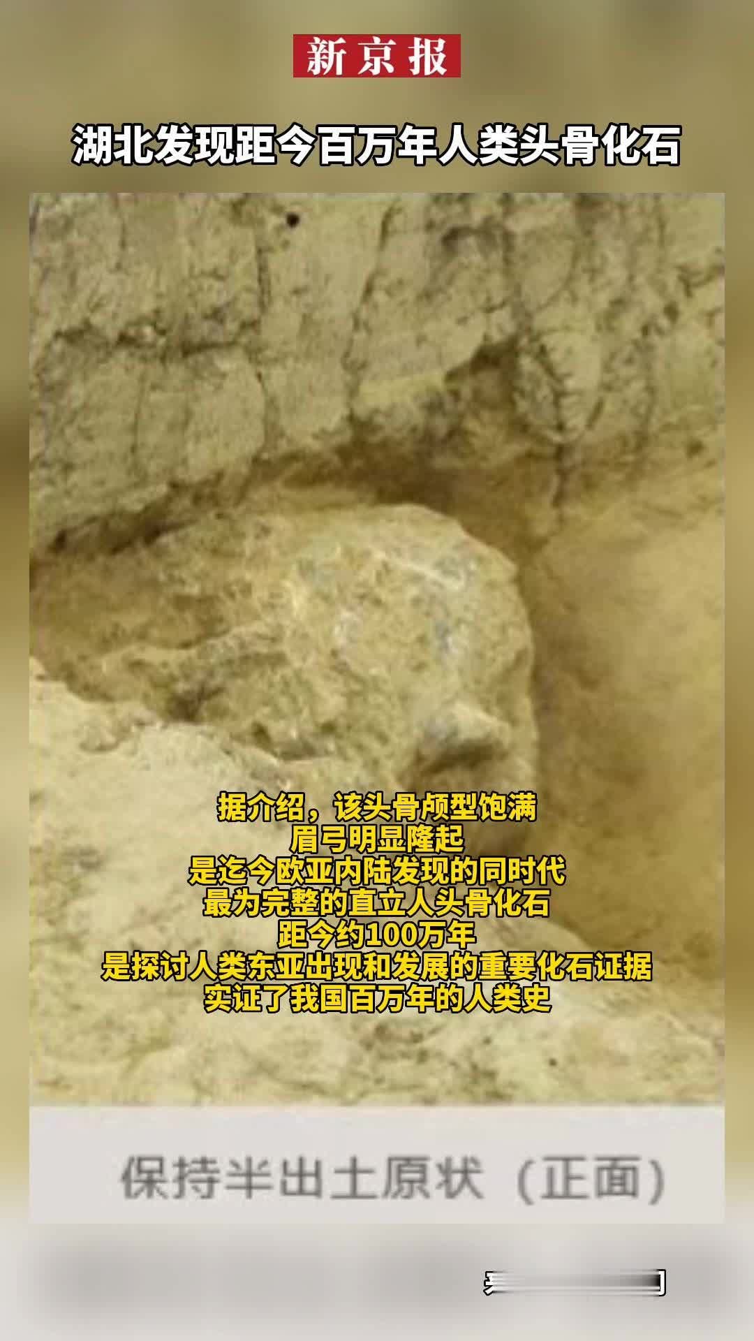 湖北郧县人遗址发现第三具古人类头骨化石 距今百万年——上海热线教育频道