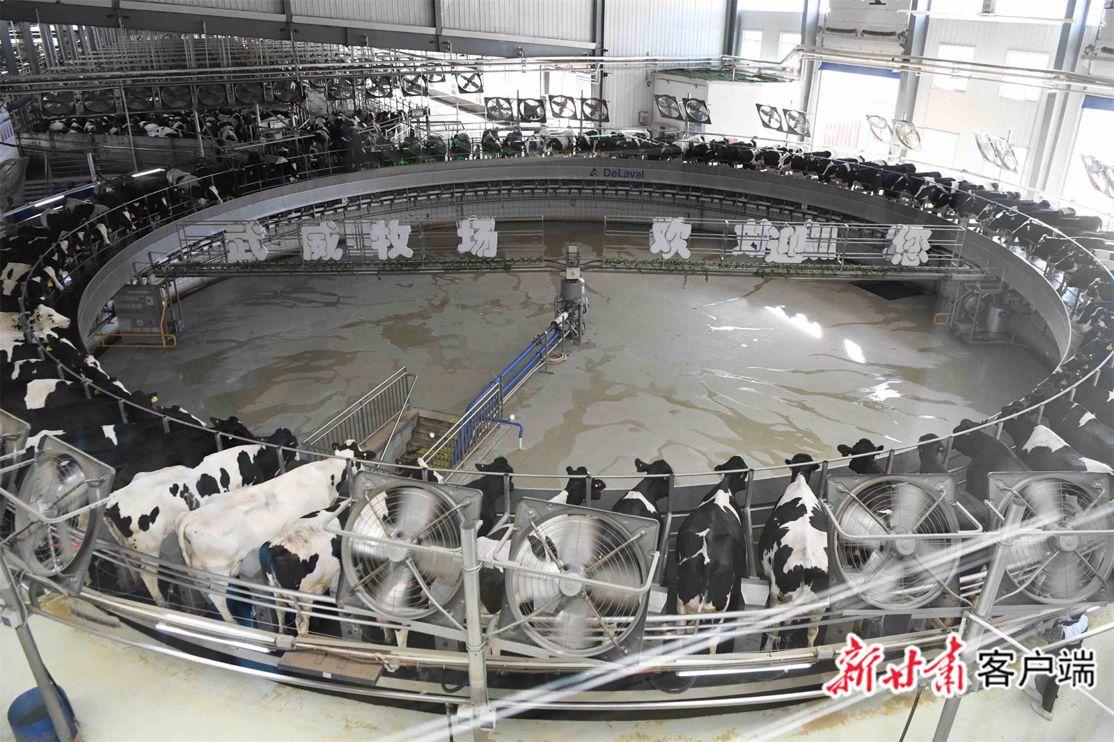 武威“百亿级”产业链起航 加速“犇”向新征程