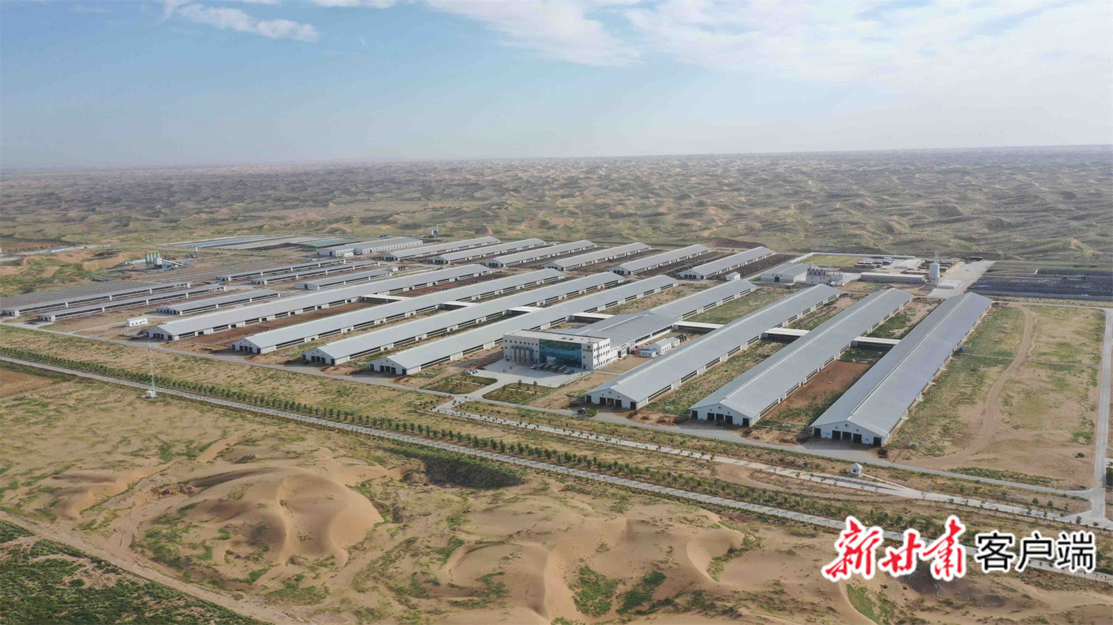 武威“百亿级”产业链起航 加速“犇”向新征程