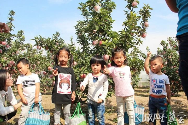 小朋友们在沧州市青县大司马现代农业园区采摘苹果。资料图