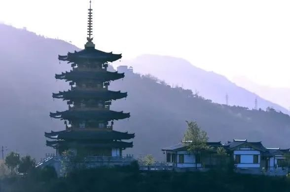 图源：镇安宣传