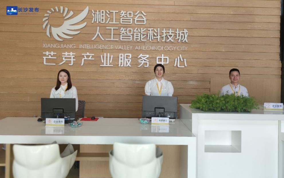 足不出园把商事办！湘江智谷 · 人工智能科技城芒芽人工智能产业创新中心正式揭牌