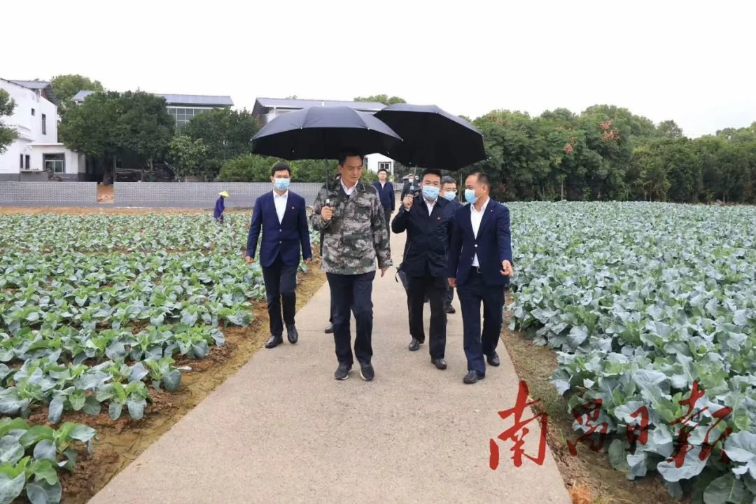 李红军在南昌扬子洲镇调研“两整治一提升”工作