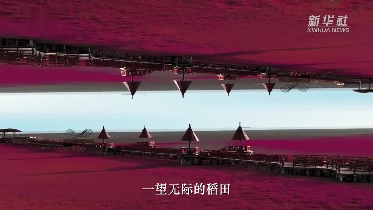 瞰见｜秋天，去辽宁看“红色海”