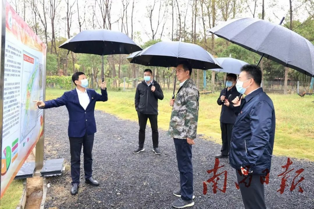 李红军在南昌扬子洲镇调研“两整治一提升”工作