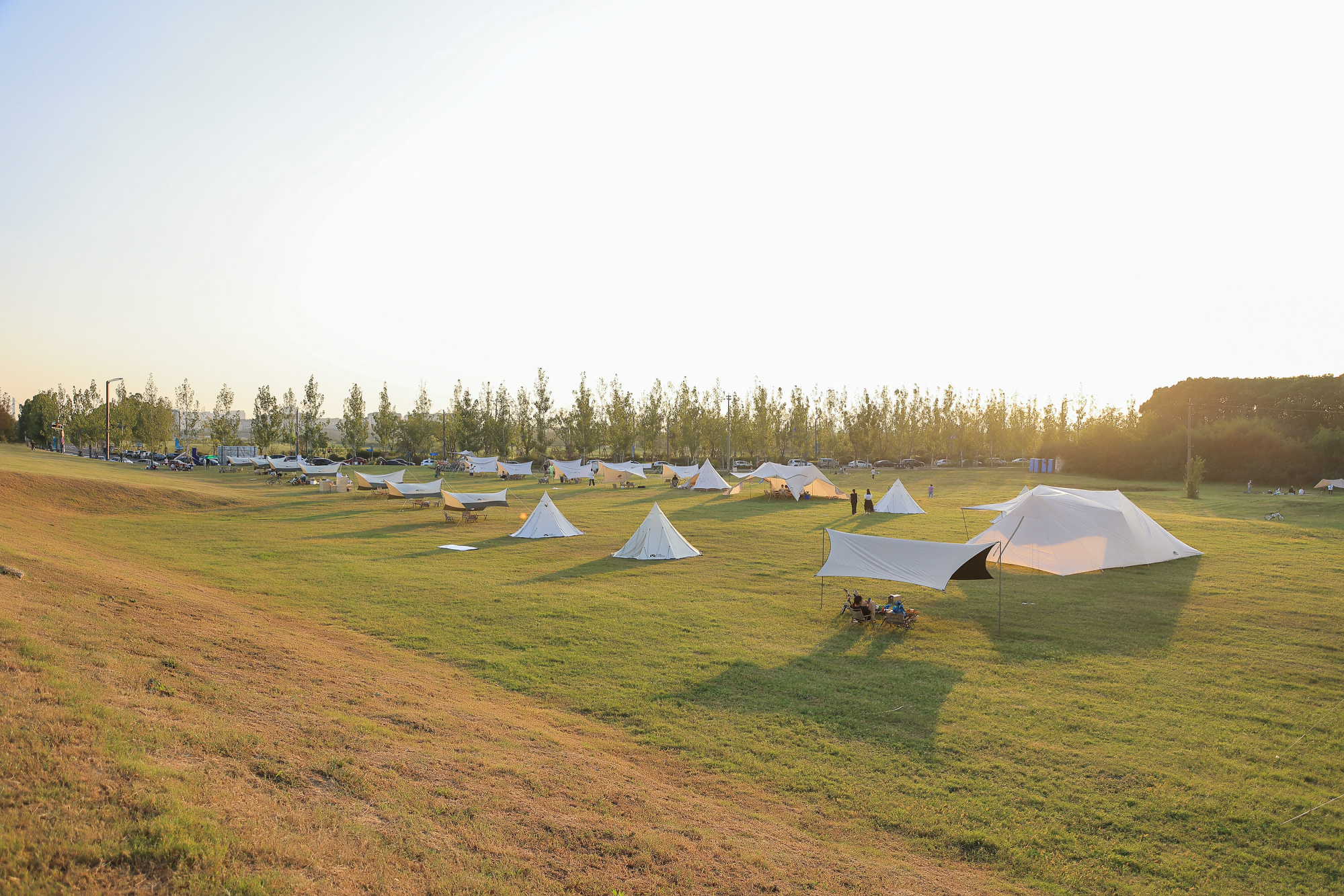 生态露营“江江好”!江心洲生态露营季承包你的国庆假期