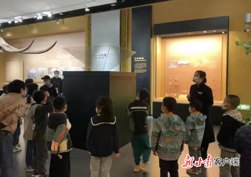 “社教”七天乐 平凉博物馆让市民尽享文化盛宴