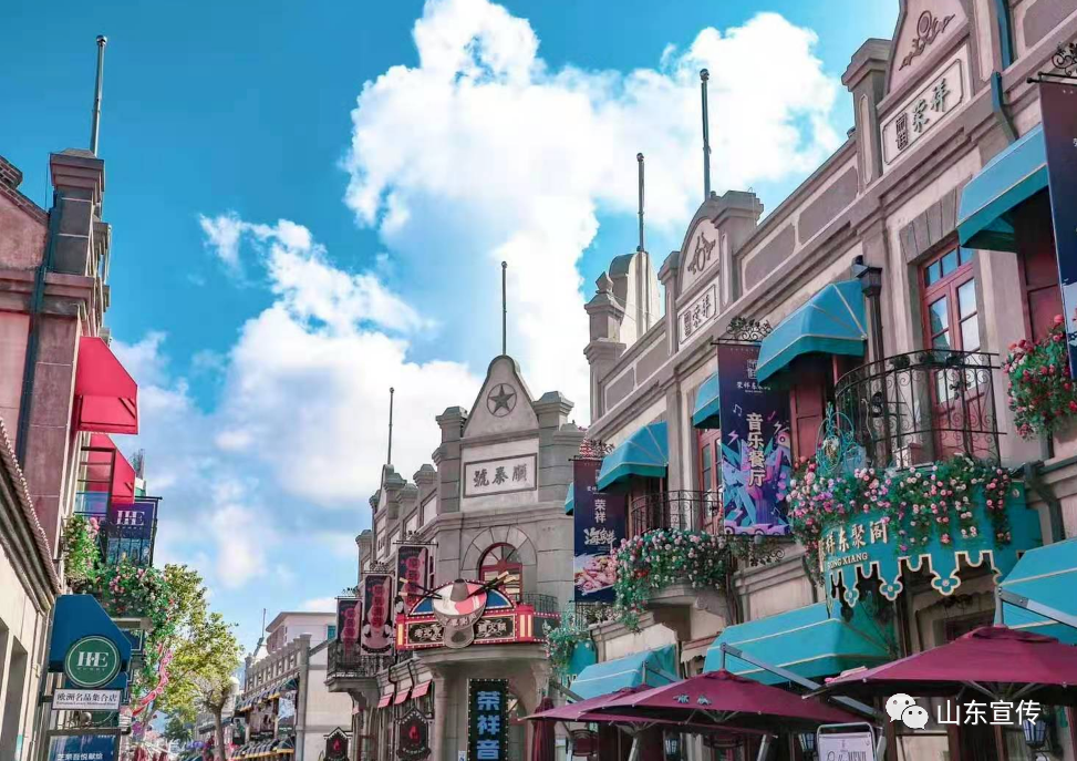 向阳而生凤凰网山东_凤凰网