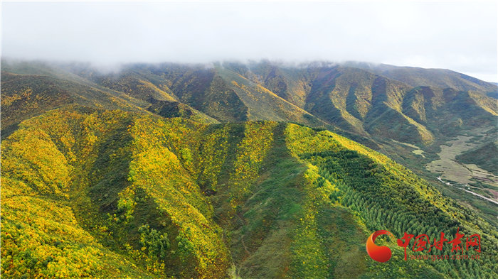 一个转瞬，季节的时钟已经过了秋分，位于榆中县的兴隆山也渐渐呈现出最美的姿态，山谷由翠绿变得五彩斑斓。