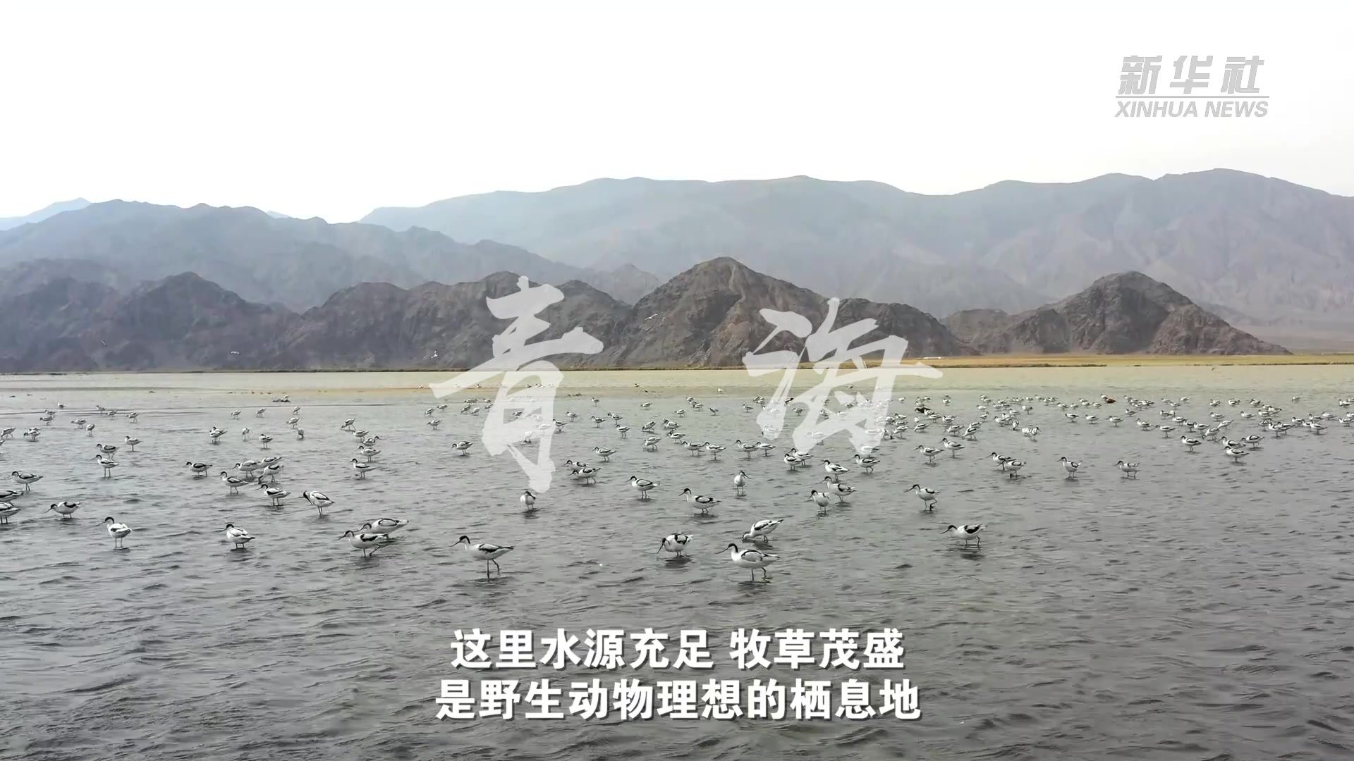 “欢度国庆·美丽中国”主题报道丨假期里邂逅“绿水青山”