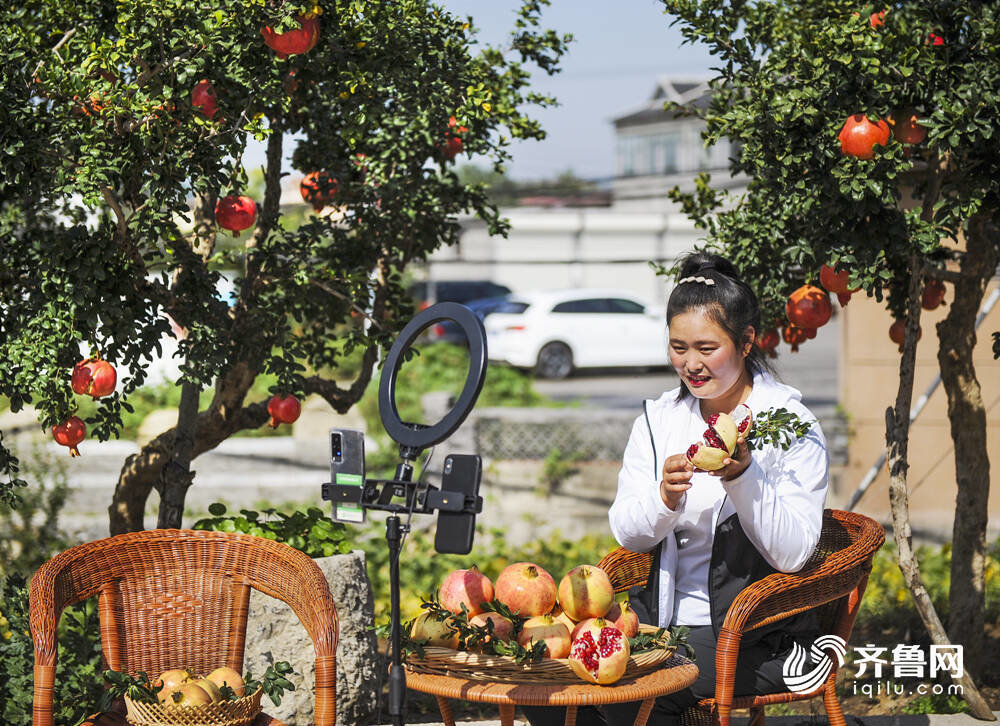 图/金秋时节，枣庄市薛城区，网红直播销售优质石榴，助力特色产业发展。