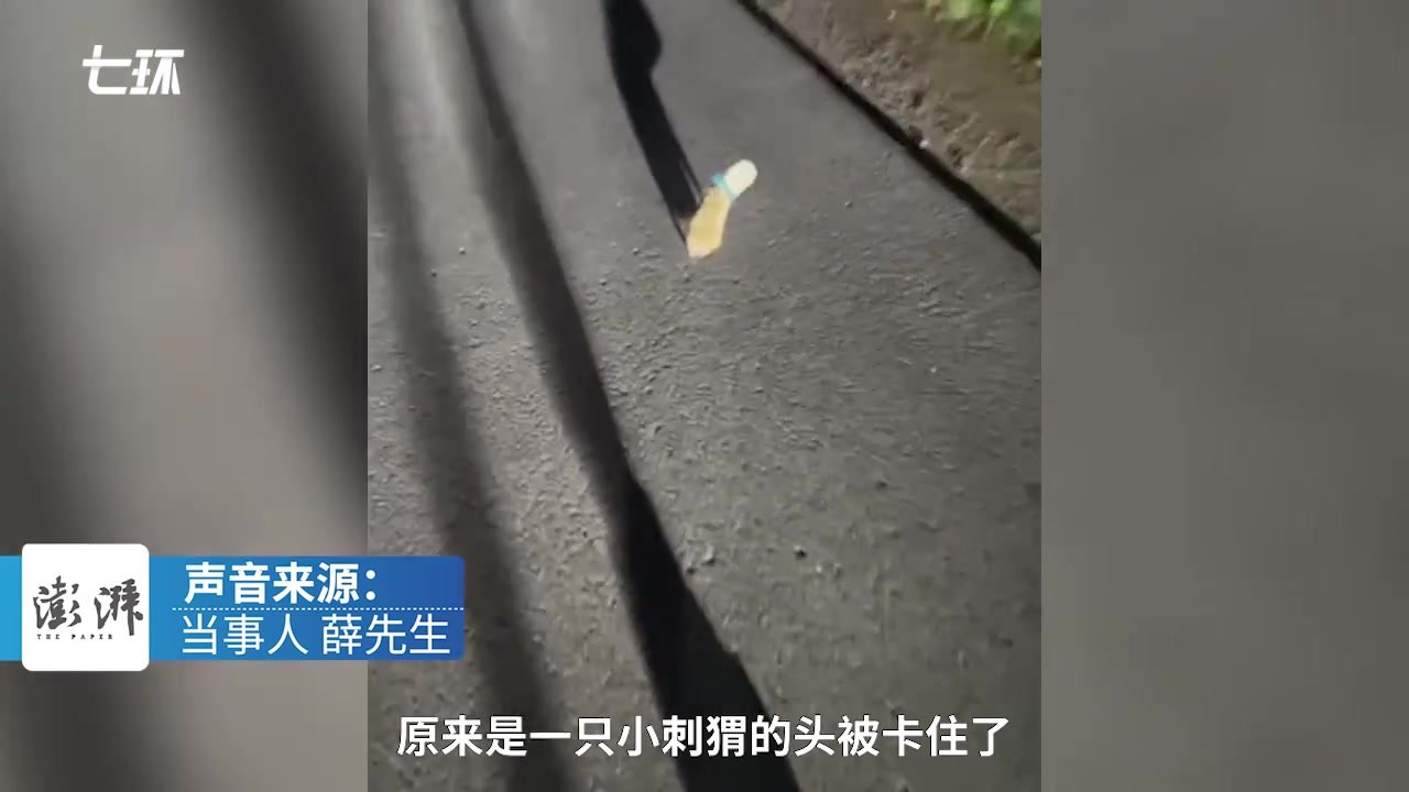 小刺猬头卡奶茶杯内不断挣扎，过路男子停车解救