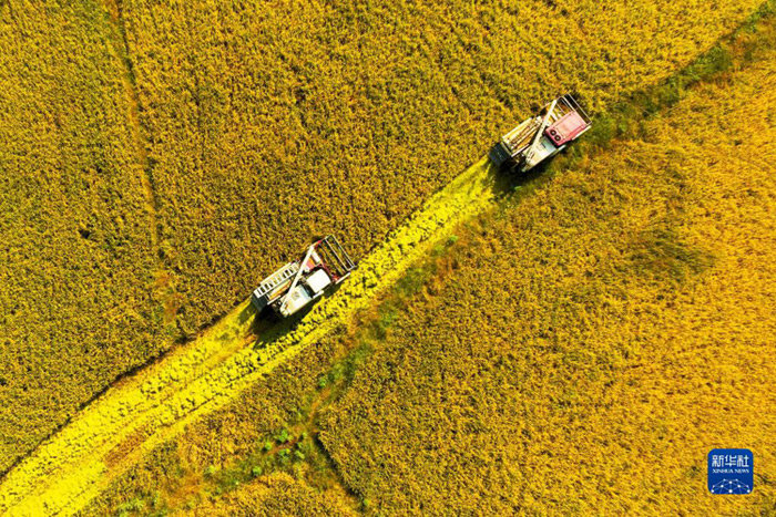 【光明网评】乡村游,让国庆黄金周更有活力魅力