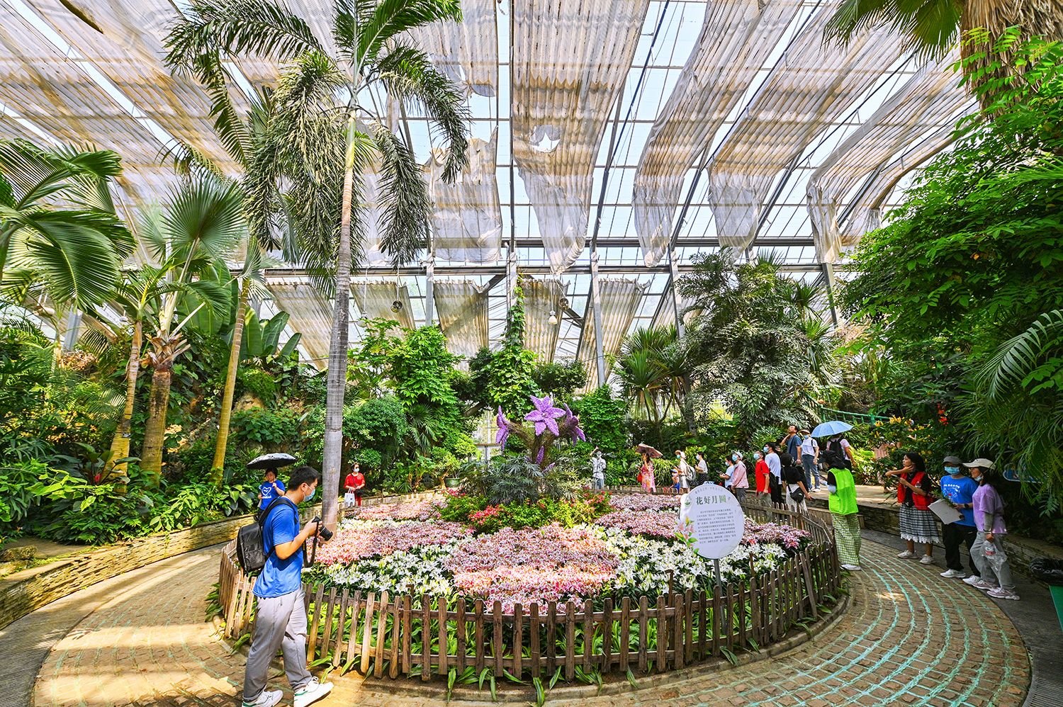 武汉植物园“赴百合之约·享鲜花生活”百合花展。