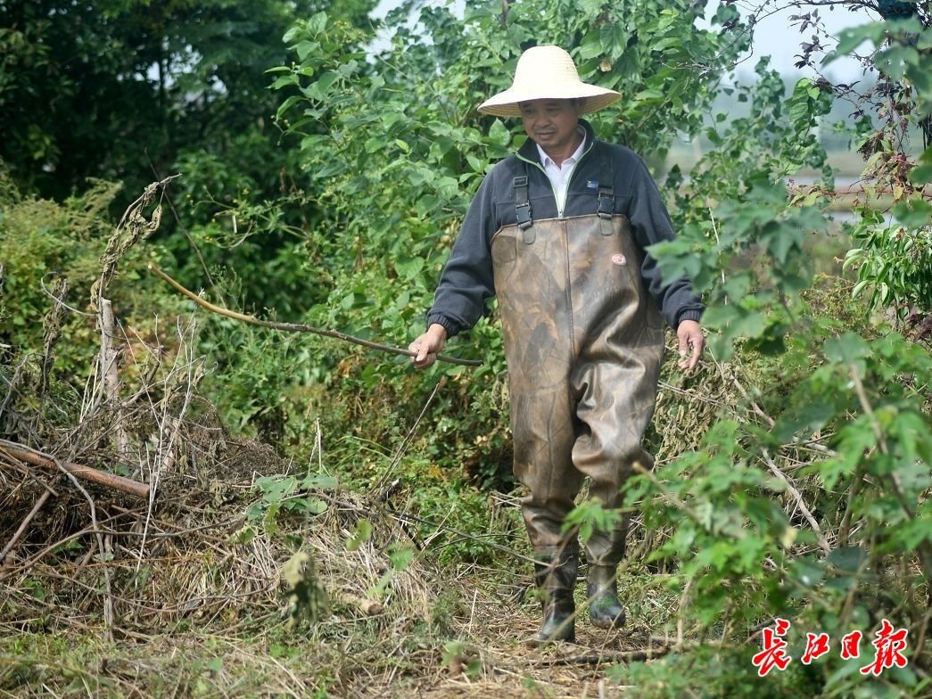 熊天国在退养还湿区巡护。记者李子云 摄