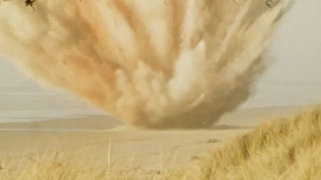 图:用炸药来处理鲸鱼尸体