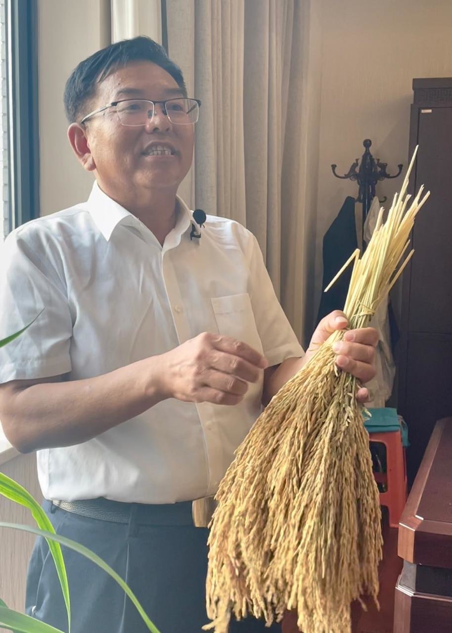 质量湖南｜水稻专家杨远柱坚持41年，只为了一颗高质量种子
