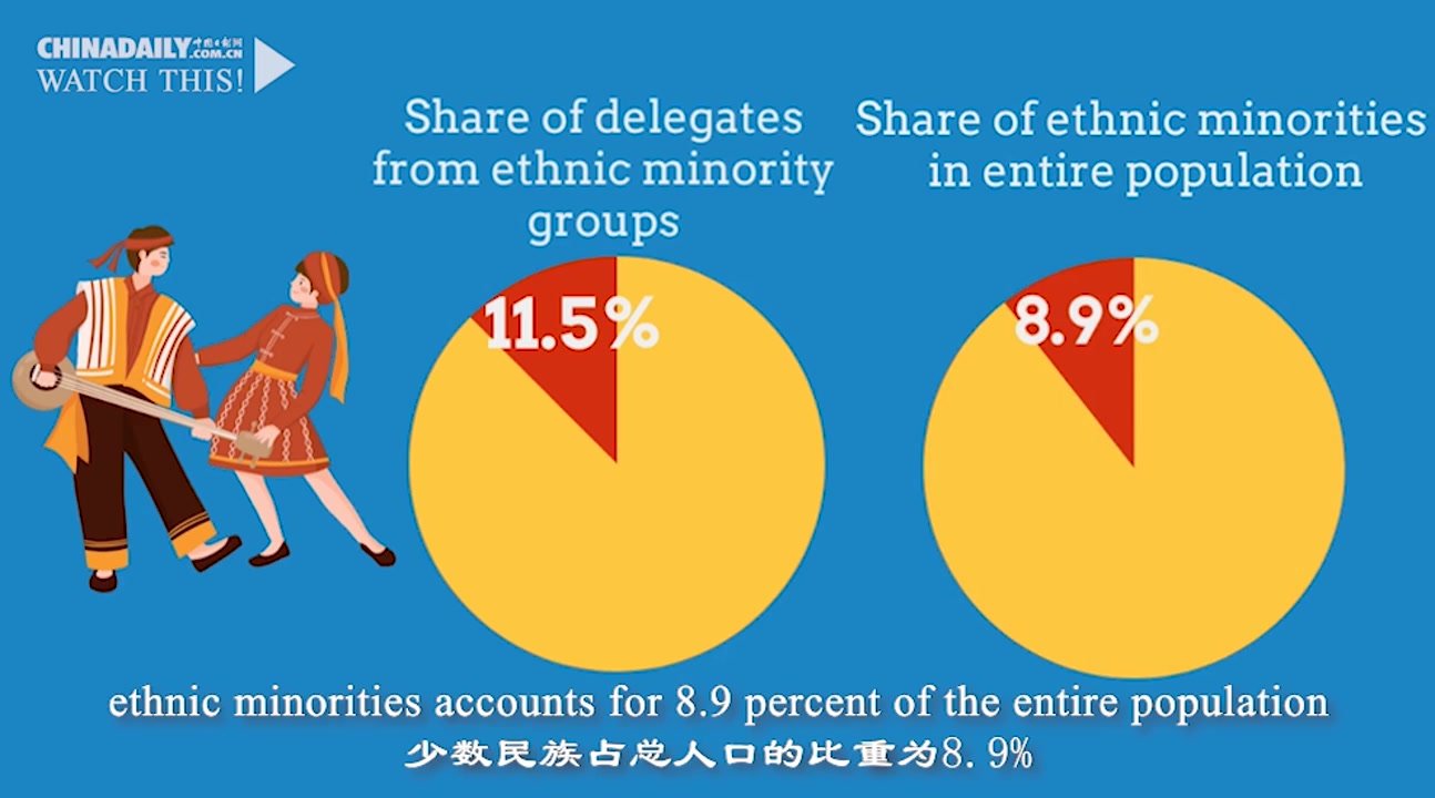 动画：带你了解二十大代表的构成和分布