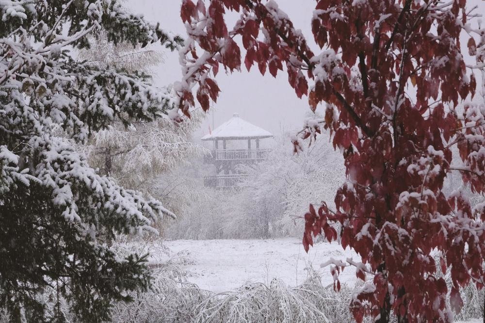 图② 10月10日，在吉林省延边朝鲜族自治州安图县二道白河镇拍摄的雪景。 新华社发（王景和 摄）