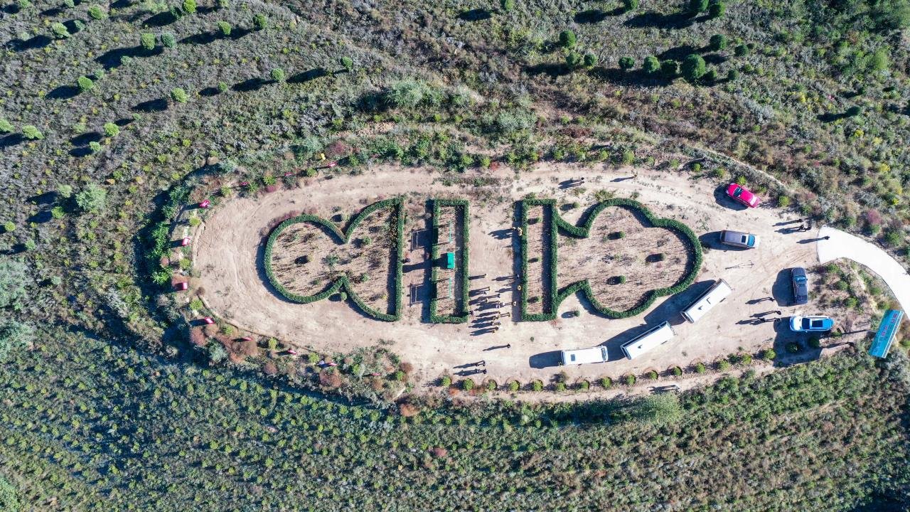 “黄河安澜&middot;津润三秦”网络主题活动采访团走进延长县国家储备林基地