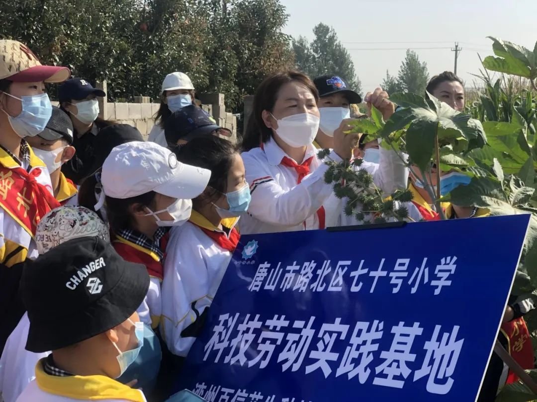 唐山市路北区：双进活动促双减，劳动教育谱新篇