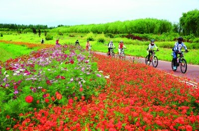 在甘肃省张掖奥林匹克森林公园，骑行爱好者在湖畔绿道上乐享生态美景。杨永伟摄/光明图片