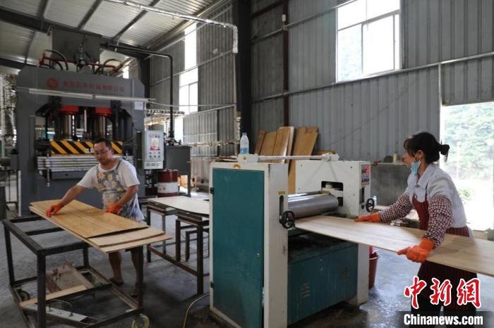 图为宁化县治平畲族乡畲福韵竹制品有限公司的工人正在生产竹胶板。　宁化县民宗局 供图