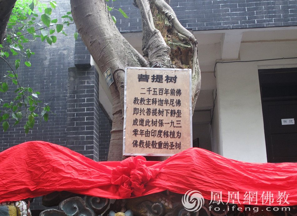 走进千年慈云寺:重庆最朋克古刹,山城中“不一样的烟火”