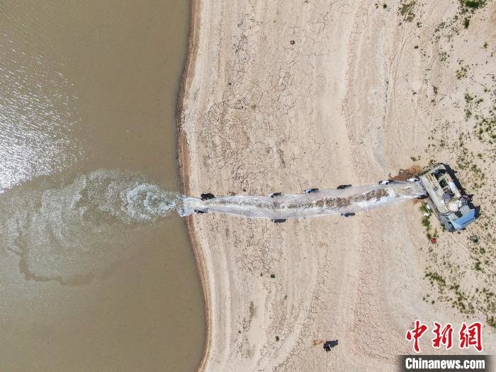 图为航拍工作人员在鄱阳湖岸边开展长江江豚饵料鱼应急投喂工作。　刘力鑫 摄