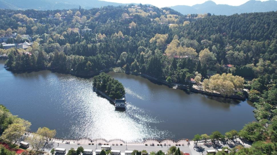 庐山:梧桐叶黄秋色浓(图)