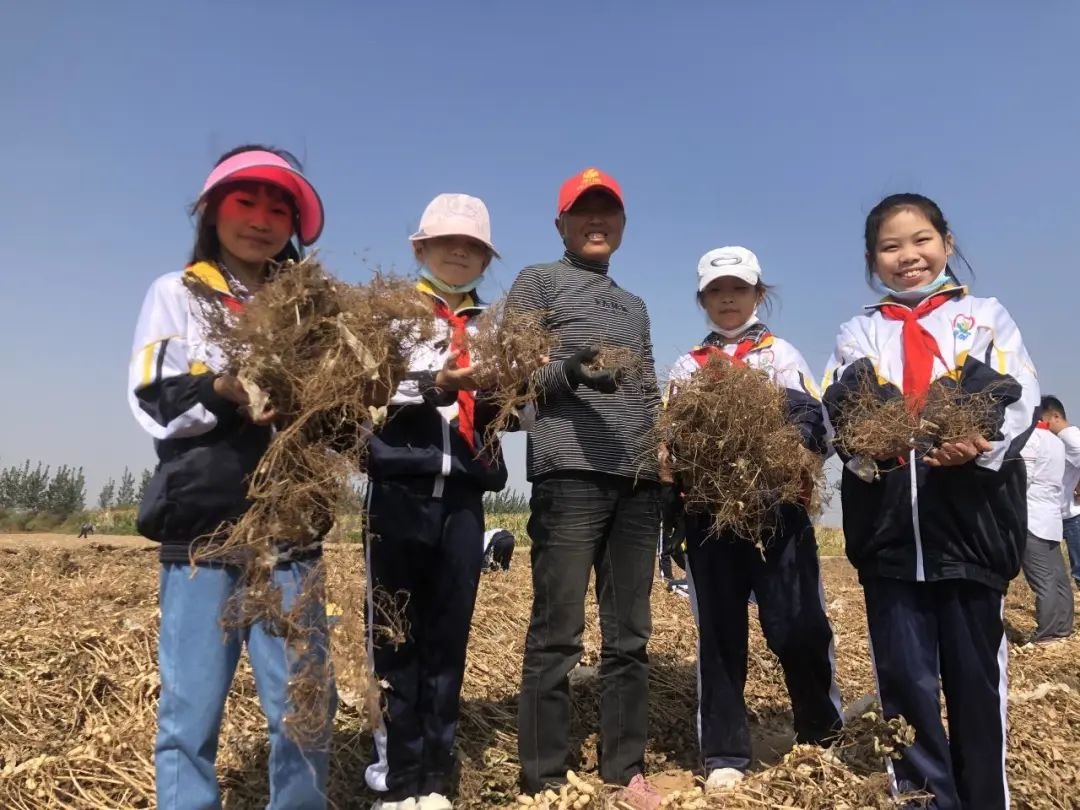 唐山市路北区：双进活动促双减，劳动教育谱新篇