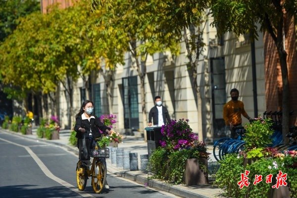 一市民骑车路过青岛路，不禁被一路风景吸引。 记者许魏巍 摄