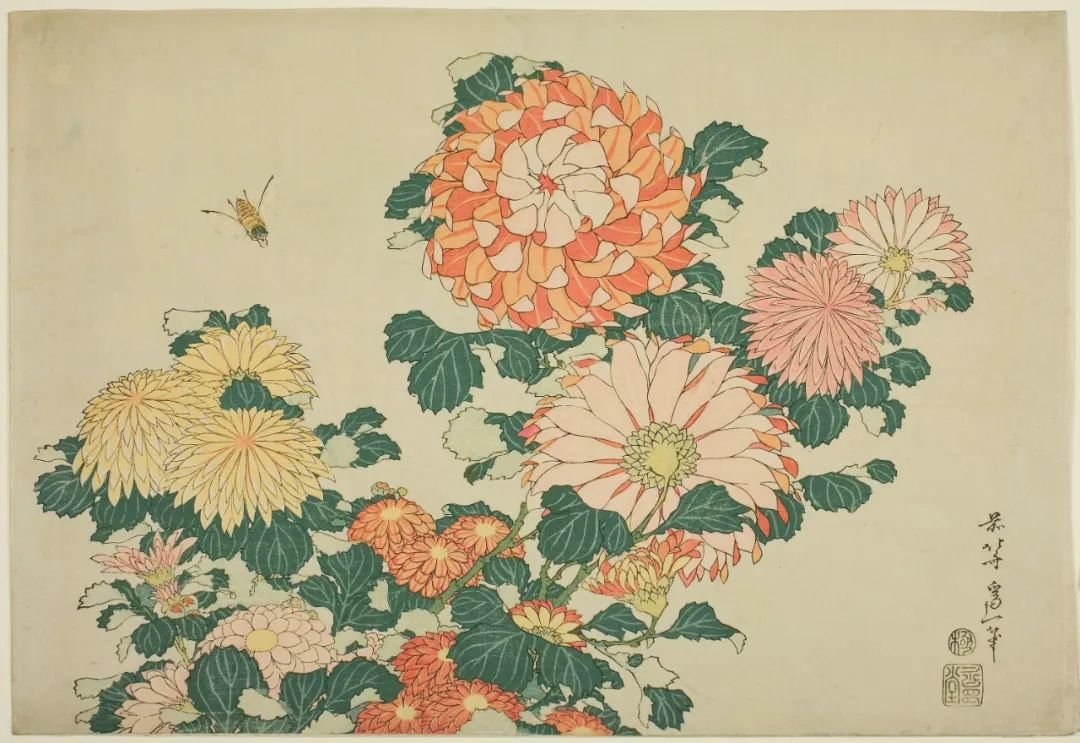 葛饰北斋，《菊与虻》（Chrysanthemums and Horsefly），约1833-1834年。莫奈拥有一幅复制品，如今在法国吉维尼镇莫奈的故居展出